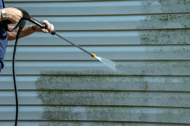 Best Pressure Washing Patio  in Edina, MN