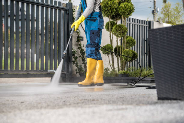 Best Deck Cleaning Services  in Edina, MN